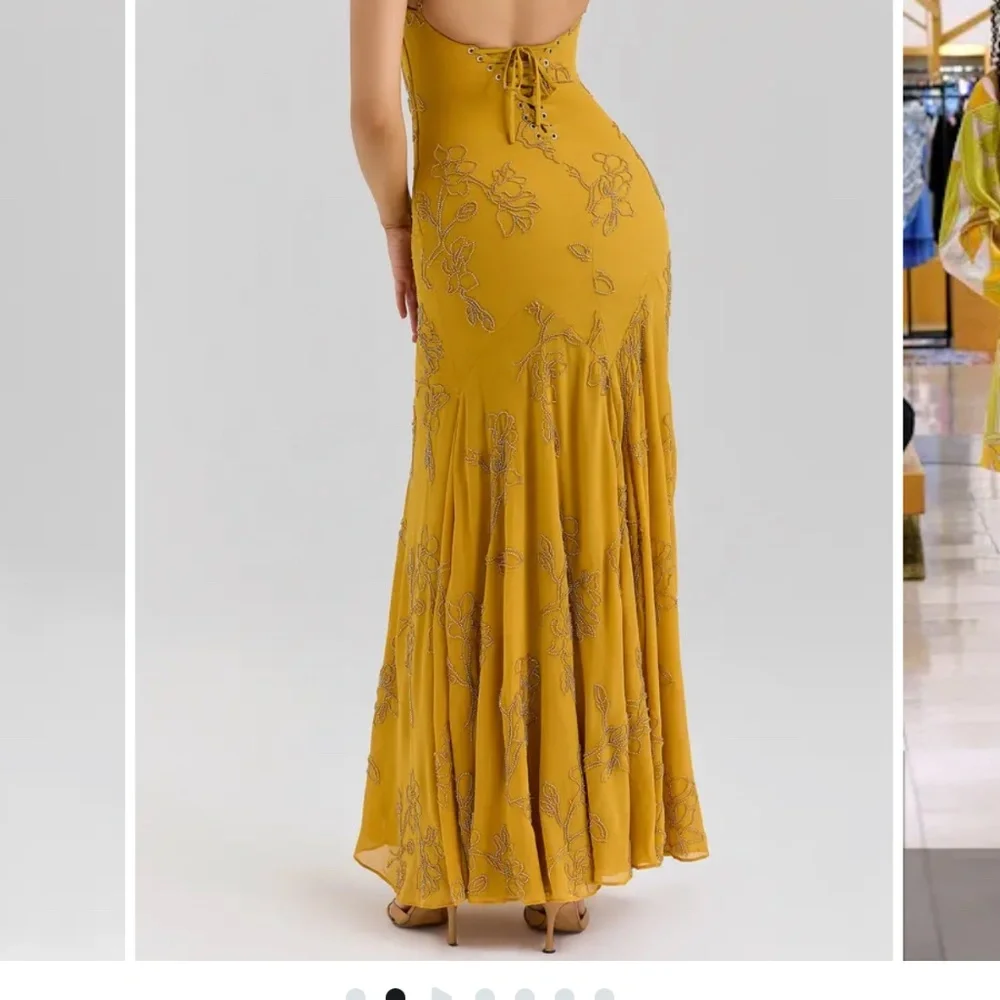 House of CB Rosalia Beaded Georgette Gown - Picture 3 of 10